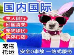 惠州航空快运国际宠物托运 【国